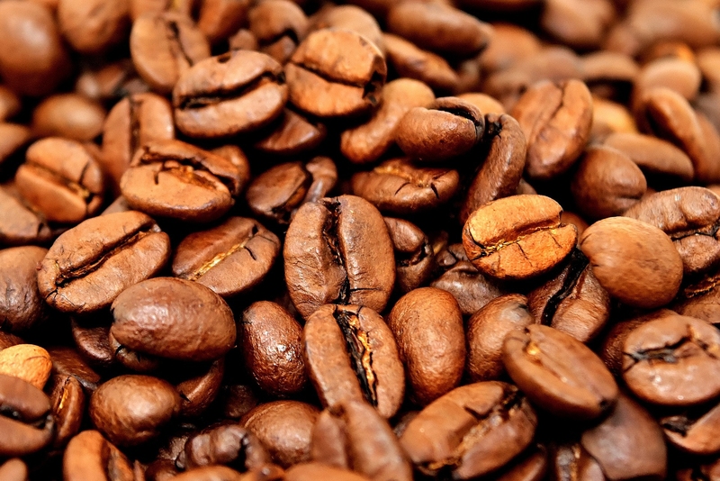 Cacao 2